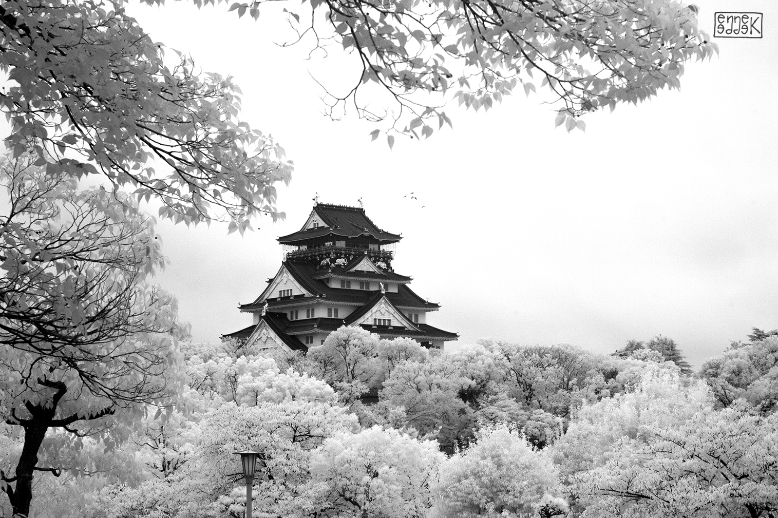 osaka