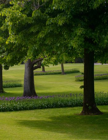 Parco Giardino Sigurtà