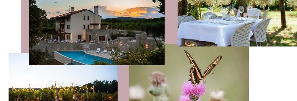 Cardo Boutique&Wine Resort