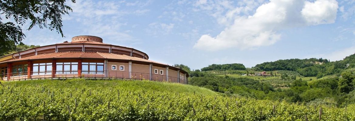 Dal Maso Azienda Agricola