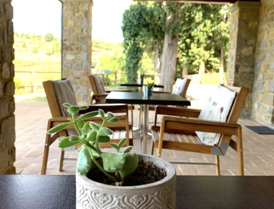 B&B Lavanda e Rosmarino – Arezzo