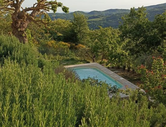 B&B Lavanda e Rosmarino – Arezzo