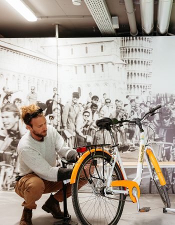 Villa Madrè San Rossore Apartments