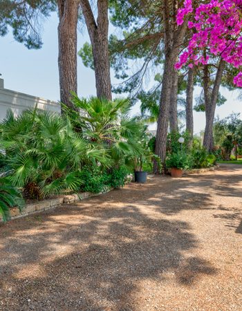 Agriturismo La Stornara